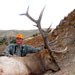 Elk Hunting in Crested Butte